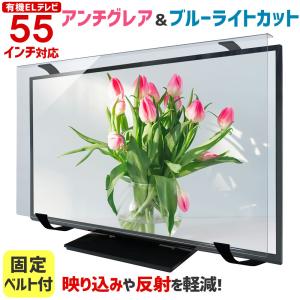 アンチグレア ブルーライトカット 液晶テレビ保護パネル ノングレア 55
