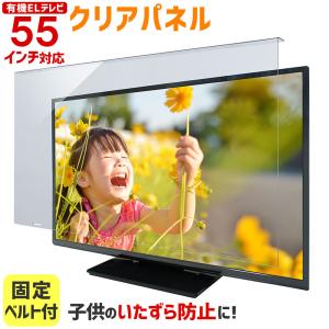 メディアフューチャー パナソニック VIERA TV-55Z95A [55インチ] 液晶