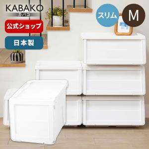 天馬 収納ケース 衣装ケース プロフィックス カバコ モノ ワイド M