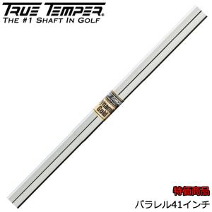 TRUE TEMPER（トゥルーテンパー） シャフト アイアン用 ダイナミック