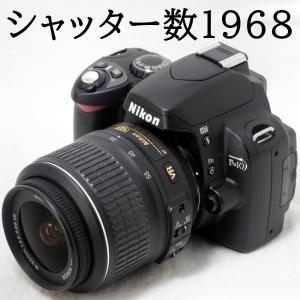 Zシリーズ（Nikon） ニコン Nikon Z5 ボディ ミラーレス 一眼レフ