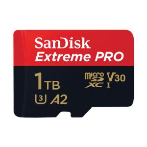 SanDisk（サンディスク） ポイント2倍 microSDXCカード 2TB SanDisk
