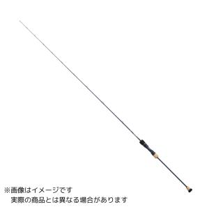 DAIWA（ダイワ） SLPワークスセミオーダー 20ソルティガ 8000-P ロード
