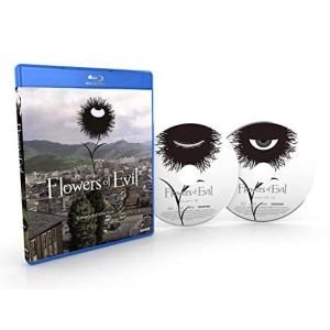 平家物語 TVアニメ全11話BOXセット ブルーレイ Blu-ray : ツーアール