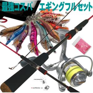 エギセット 10本入 オールケイムラコーティング ラトル入 無 エギング