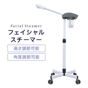 フェイススチーマー 美顔器 FS100 タイマー付き 全2色 フェイシャル