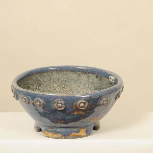 盆栽小鉢：伊藤屯洋(とんよう) 楕円鉢 13.2cm *現品もの 資材 : 遊恵