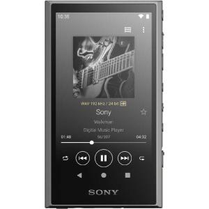ソニー NW-A306 H ウォークマン ハイレゾ音源対応 WALKMAN A300