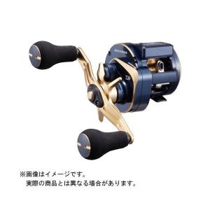DAIWA（ダイワ） ソルティガIC 100H-DH : つり具の銭屋 - 通販 - Yahoo