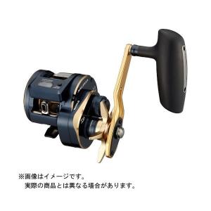 DAIWA（ダイワ） 25 ソルティガ 300HL 左ハンドル (2025年モデル