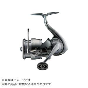 DAIWA（ダイワ） 22 イグジスト EXIST LT2500S-XH (スピニングリール