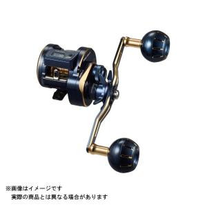 DAIWA（ダイワ） ソルティガIC 100HL-DH : つり具の銭屋 - 通販