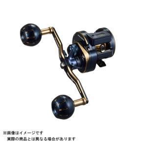 DAIWA（釣り） 21 ソルティガIC 100P-DH 釣り ベイトリール - 最安値