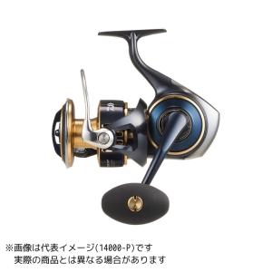 DAIWA（ダイワ） 21 セルテート SW 14000-XH : ヨコオネット Yahoo!店