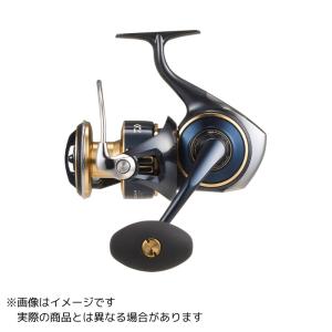 DAIWA（ダイワ） 25 ソルティガ 14000-P 送料無料 : つり具の銭屋