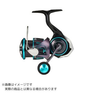 DAIWA（ダイワ） 19 エメラルダス LT3000S-CH-DH ダブルハンドル