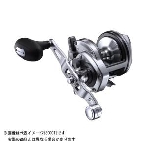 シマノ（SHIMANO） レマーレ BG (スピニングモデル・並継) H475S (8号