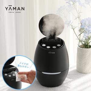 パナソニック スチーマー ナノケア EH-SA6C-N ナノサイズの温スチーム