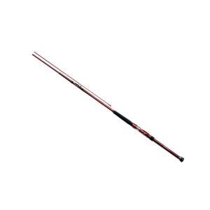 DAIWA（ダイワ） 【取り寄せ商品】ダイワ アナリスター 瀬戸内ILT 25