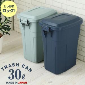 WESCO プッシュビン PUSHBOY (プッシュボーイ) 50L プッシュ式 ゴミ箱