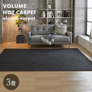 Panasonic（パナソニック） DC-3NK ホットカーペット本体 電気