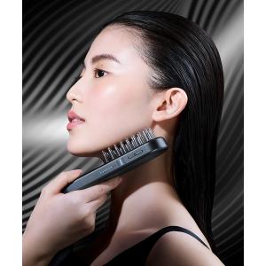 SALONIA（サロニア） emsリフトブラシ sal22206sl 美顔器 ems フェイス