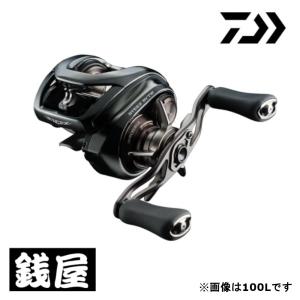 ダイワ スティーズ A2 TW 1000HL / DAIWA STEEZ A II : 大門釣具