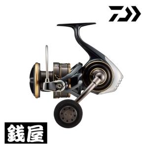 DAIWA（ダイワ） ソルティガAP C85XXHS ／オフショア