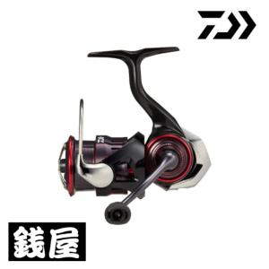 DAIWA（ダイワ） 【目玉商品】ダイワ 24 月下美人X LT2000S-P (2024年