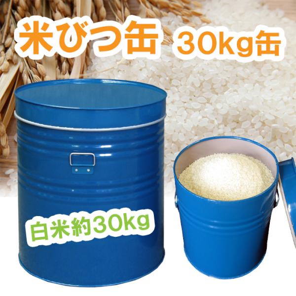 米びつ缶 30kg用 ライスストッカー 米保存 丸缶 スチール製 トタン製