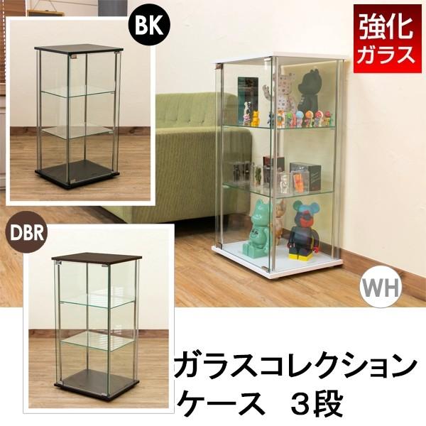 温室 ガラスコレクションケース 3段 パキポディウムなどのお気に入りの