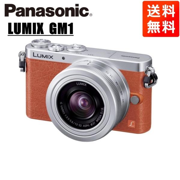 LUMIX パナソニック Panasonic ルミックス GM1 12-32mm レンズキット