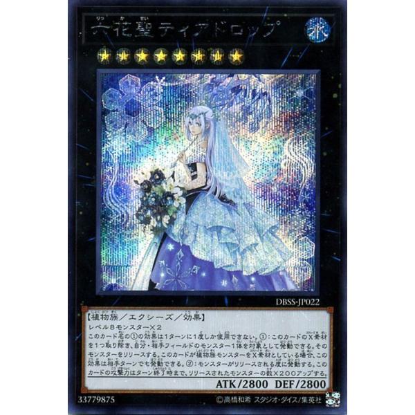card-museum_dbss-jp022-si