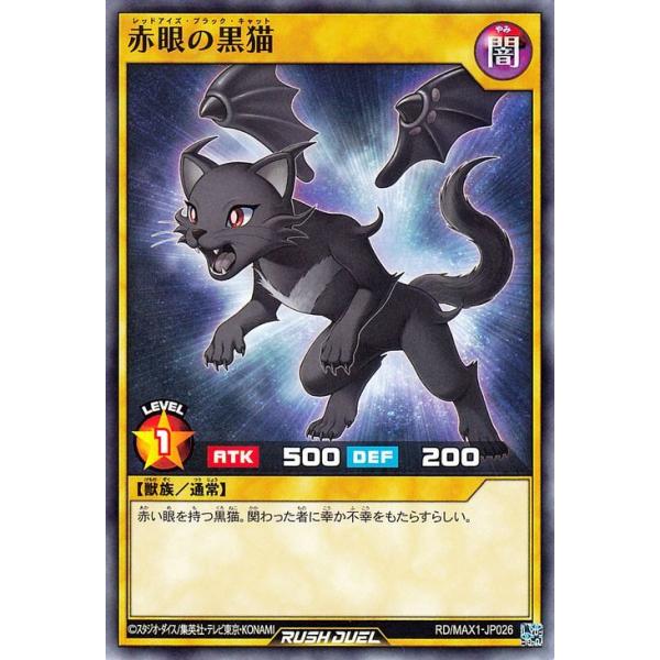 遊戯王ラッシュデュエル 遊戯王カード 赤眼の黒猫 ノーマル マキシマム