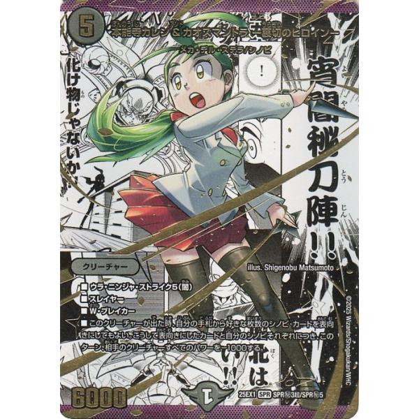 card-museum_dm25ex1-spr03-dsi