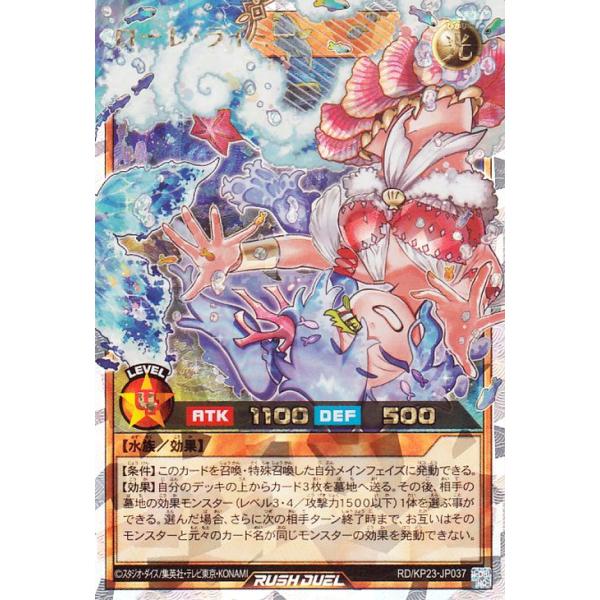 card-museum_rdkp23-jp037-orush