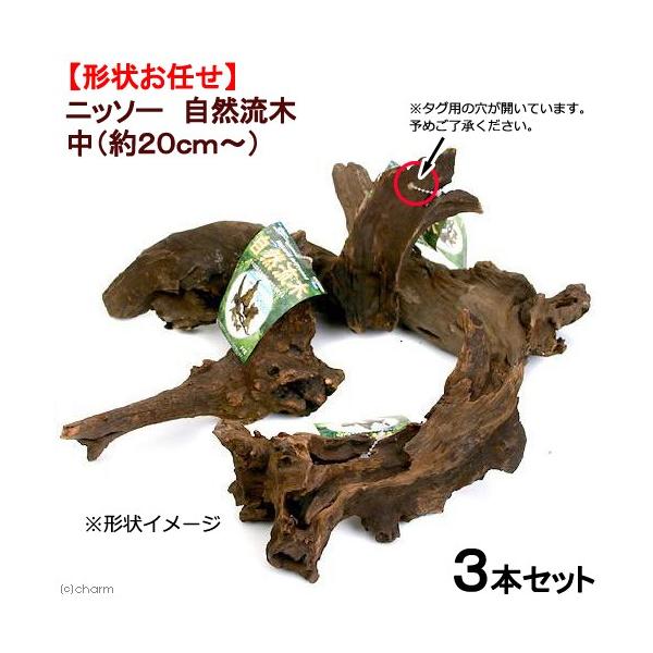 ニッソー 形状お任せ 自然流木 中（約20cm〜） 3本セット