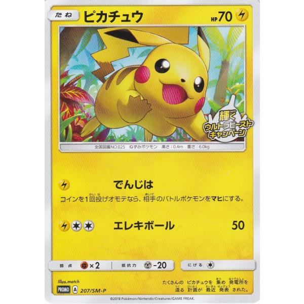 clearfile_pokemonsm-p207