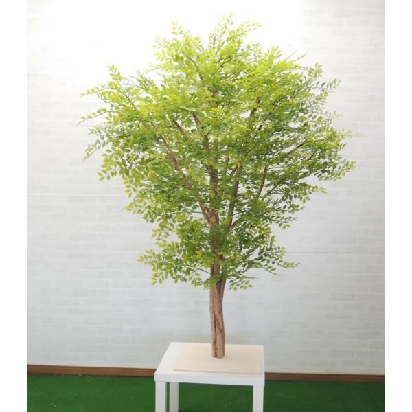 シマトネリコ 高さ 180cm (大 型サイズ 明るい葉 フェイク グリーン