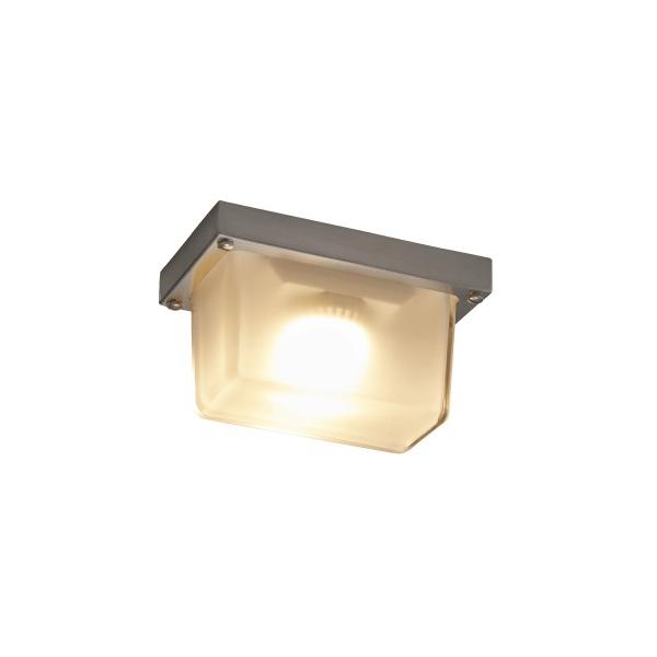 クラコ フードライト LEDタイプ HLD-100F(フロスト) : アナハイム 厨房