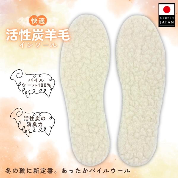 木原産業 インソール 中敷き 暖かい 靴 防寒 消臭 足ムレ 蒸れ対策 足
