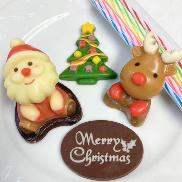 クリスマスケーキオーナメントセット（チョコレートサンタクロース＆と