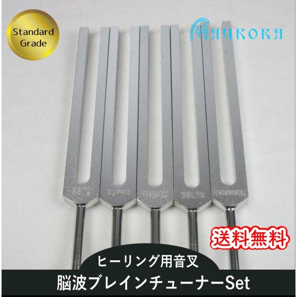 脳波チューナー（ヒーリング音叉）5本セット スタンダードグレード