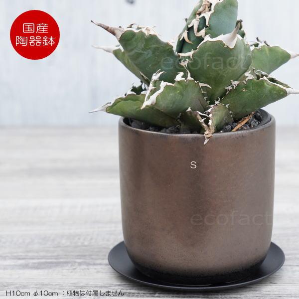 陶器鉢 植木鉢 ミニポット 皿付 みやび S 筒型 ブロンズ φ10cm 国産鉢