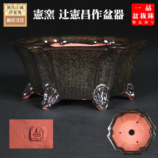 盆栽鉢 「憲窯蕎麦釉六角鉢」 植木鉢 辻憲昌 ケンヨウ 色鉢 陶器