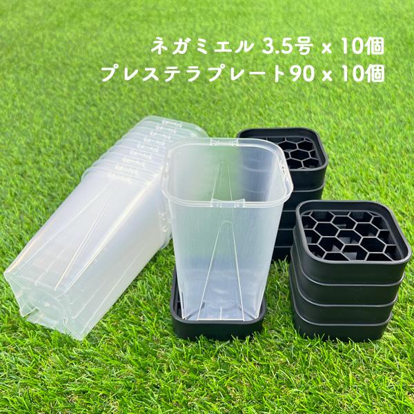 ネガミエル3.5号ロングスリット鉢 プレステラプレート90 各10点セット
