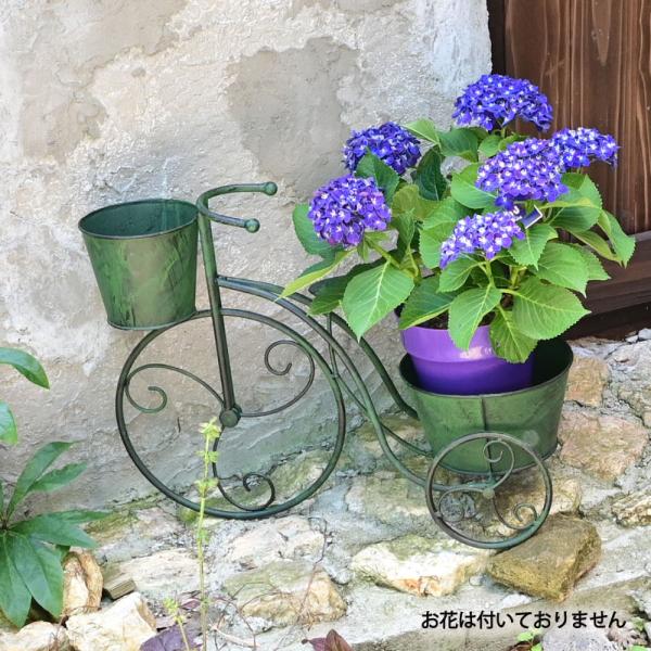 baroness_dd-viv23-50