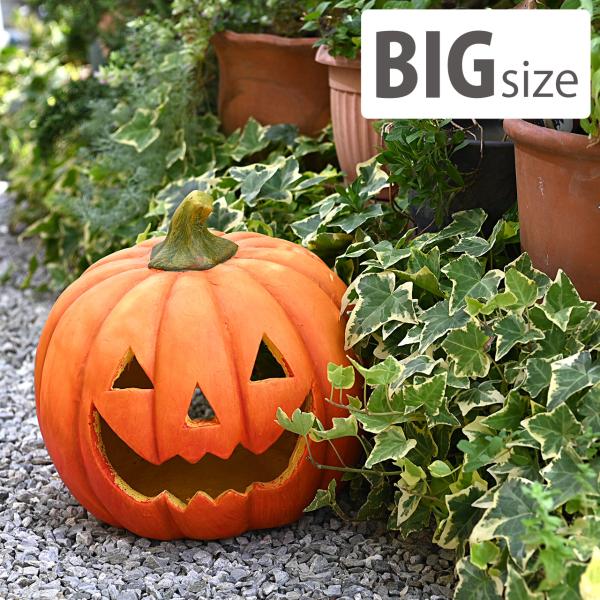 baroness_ks-ng-15484