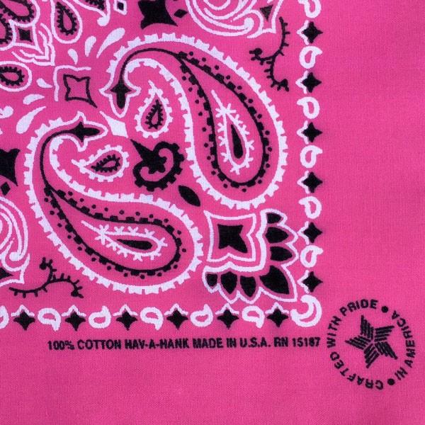 HAV-A-HANK（ハバハンク） 80年代 デッドストック アメリカ製 バンダナ