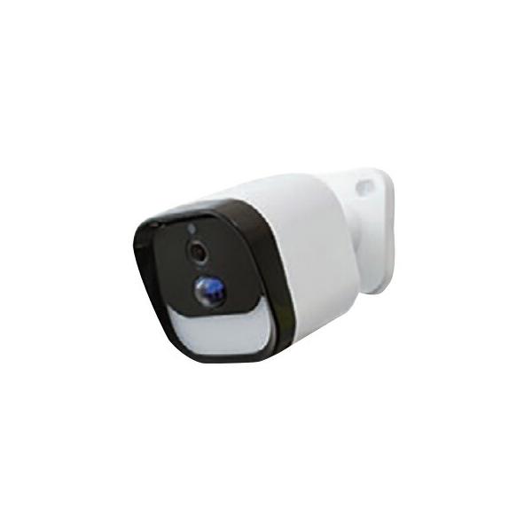 LEDセンサーライト付ワイヤレス防犯カメラ DLA-RD300-SL 大進 : 工事